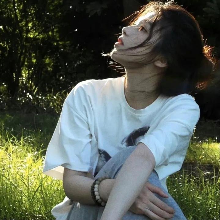 飞机